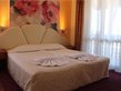 Elegant Hotel - Suite (3pax)