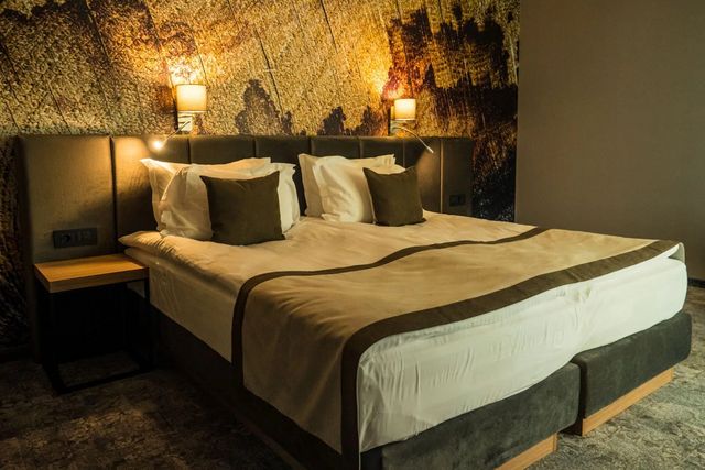The five elements hotel and SPA - single room