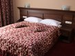 Bachinovo Hotel Park - SGL room (big bed)