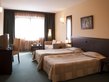 Lion Borovets Hotel - twin large room