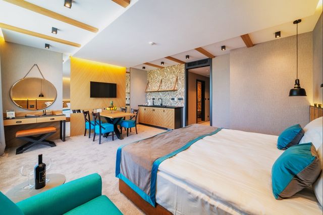 SPA Complex Belchin Spring - single deluxe room (hotel)